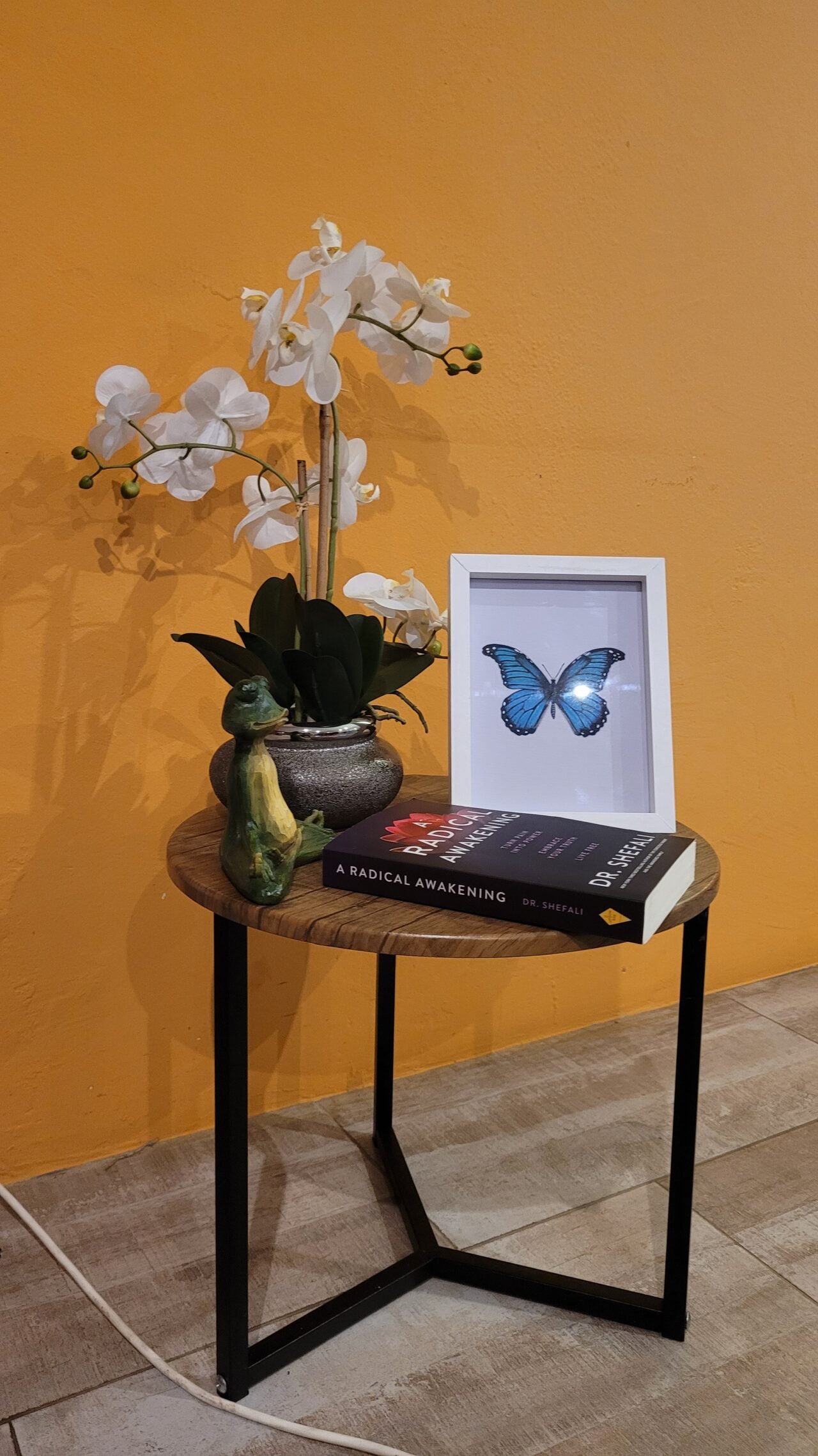 481cea5d-1ca3-433f-803a-d72b039bbdf1