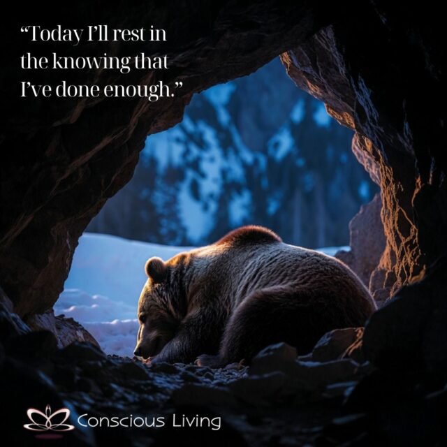 WhatsApp Image 2026-03-05 at 14.24.33124